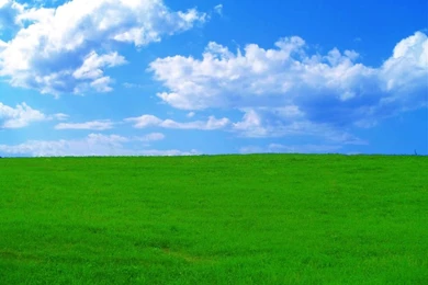 Download Mobile Wallpaper: Landscape, Grass, Sky, Clouds, Free. 10300.