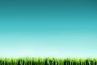 Grass Under Clear Sky Wallpapers   Digital Art Wallpapers