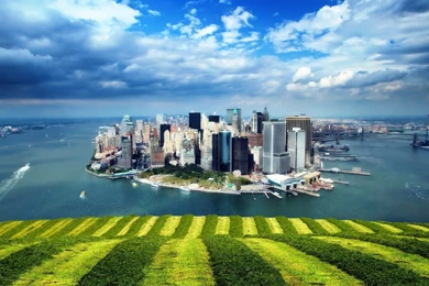 Download Sky Grass Wallpapers HD