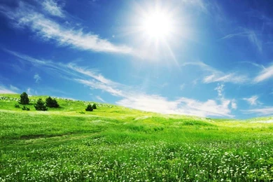 Download Mobile Wallpaper: Landscape, Grass, Sky, Sun, Free. 2873.