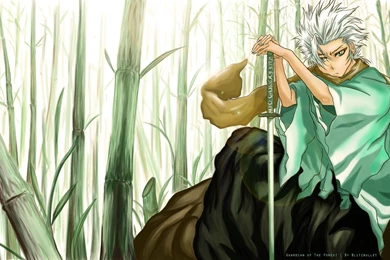 Toshiro***   Toshiro Hitsugaya Fangirls <3 Wallpapers (37484205 ...