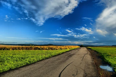 Road Fields Grass & Sky Wallpapers