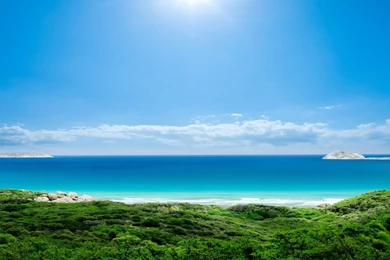 1280x800 Sky Ocean Grass & Plants Desktop PC And Mac Wallpapers