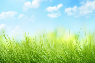 Download Wallpapers Nature, Grass, Sky, Clouds, Nature, Grass, Sky ...