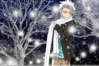 Hitsugaya Toshiro   Toushirou Hitsugaya Wallpapers (25179155 ...