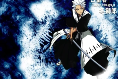 Toshiro   Toushirou Hitsugaya Wallpapers (30390907)   Fanpop