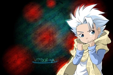 Hitsugaya Wallpapers By Revear09 On DeviantArt