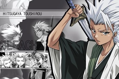 Toushirou   Toushirou Hitsugaya Wallpapers (9075799)   Fanpop