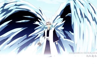 Hitsugaya Tosuhiro Wallpapers   (