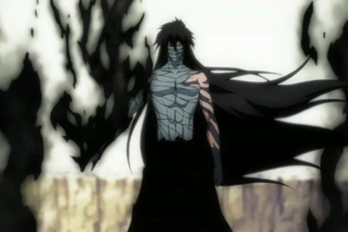 Ichigo Final Getsuga Tenshou, Bleach, Anime, 1920x1080 HD ...