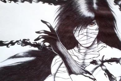 FINAL GETSUGA TENSHOU WALLPAPER   (