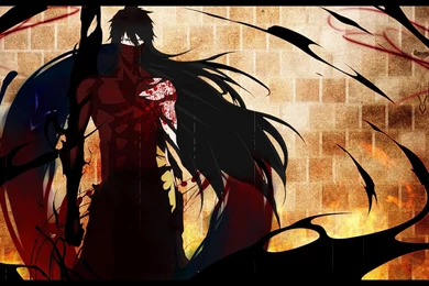 Bleach Getsuga   1494952