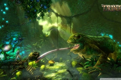Trine 2 Frog Screenshot HD Desktop Wallpapers : Widescreen : High ...