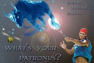 Rafael Nadal Photo Rafael Nadal Wallpapers High Resolution Images