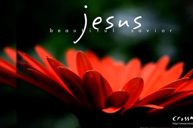 Jesus Wallpapers