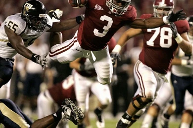 Your RBR Word Of The Day: Apposite   Roll 'Bama Roll