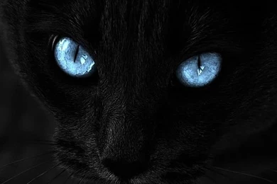 30 Cool And High Quality iPhone 4 Wallpapers