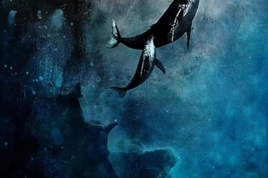 ITeddy+ Wallpapers   Cool HD Retina Wallpaper Backgrounds For ...