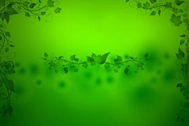 GREEN WALLPAPER By Jeshans On DeviantArt