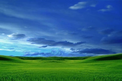 Microsoft Desktop Wallpapers   Wallpapers Online