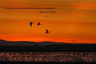 Inspiring Quote Wallpapers