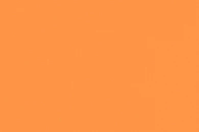 Wallpapers Orange Plain Livingwalls 2309 11 Wallpapers Brands ...