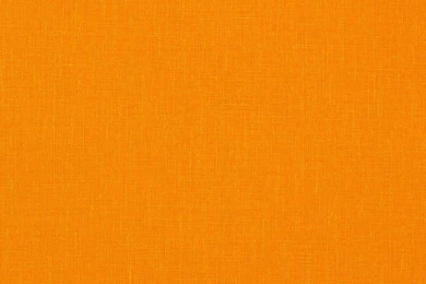 Eco Wallpapers Rasch Sensual 2015 Wallpapers 399110 Plain Orange ...