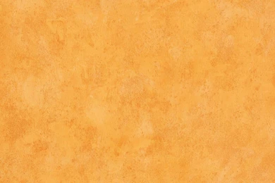 Kids Wallpapers Uni Boys & Girls Orange 7588 28 Wallpapers Brands ...