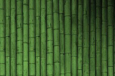 Green Wallpapers 3 Green Wallpapers