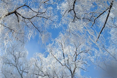 China Travel : China Winter Tour Of Scenic Snowscape 1600x1200 NO ...