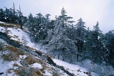 China Travel : Winter Tour   Scenic Snowscape In China 1024x768 NO ...