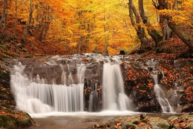 Waterfalls Scenery Wallpapers   Wallpapers Pictures Gallery