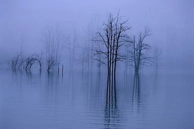 The Beauty Of China: Winter Wonderland   Wallcoo.net