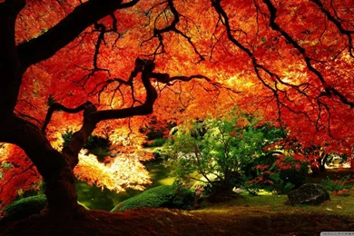 Page 549   HD Wallpapers