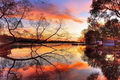 HD Landscape Nature Sunset Wallpapers.jpeg