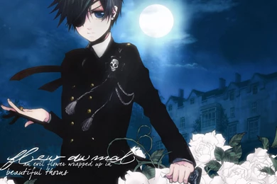 Download Free HD Wallpapers : Boyish Wallpapers   Download Free ...