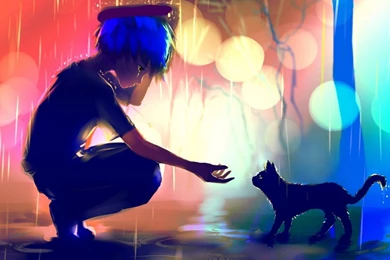 Manga Anime Wallpaper, Drawing Art, Boy, Cat, Rain, Friend, Bokeh