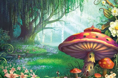 Fantasy Wallpapers Dr. Odd