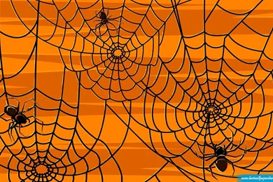 Halloween Free Wallpapers   HD Wallpapers Pretty
