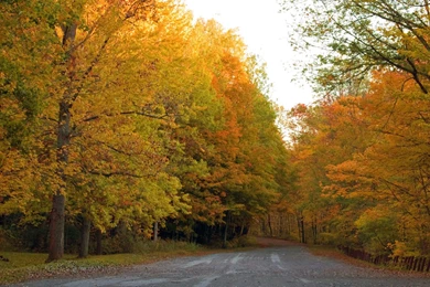 St J fall road 1680 1050 2.jpg