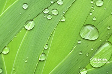 TOSHIBA Computer Wallpapers