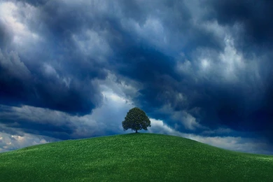 Wallpapers Tree, Blue, Clouds, Field, Thunderstorm, Before ...