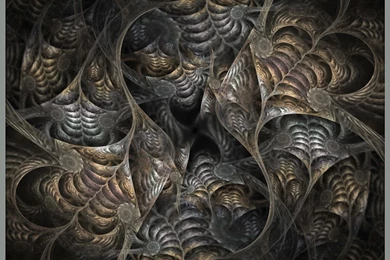 Fractal Favourites By Blakewise On DeviantArt