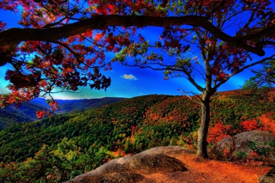 Free Wallpapers 83   HD Wallpapers