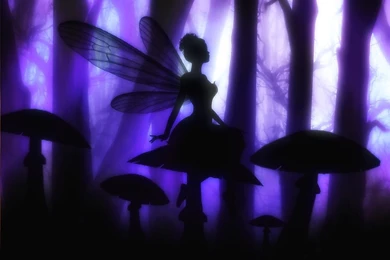 Purple Fairy Wallpapers Desktop 11 Free Wallpapers   Hivewallpaper.com