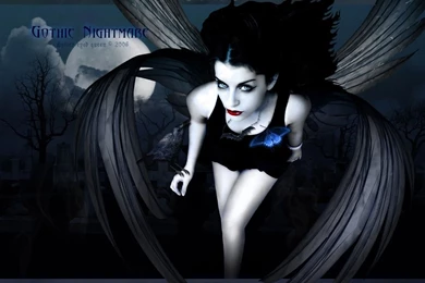 Dark Fairy Wallpapers Hd 16 Free Hd Wallpapers   Hivewallpaper.com