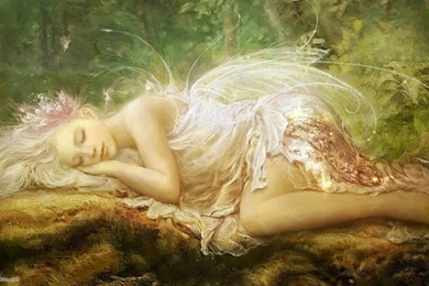 Fairy Wallpapers Hd 13 Free Hd Wallpapers   Hivewallpaper.com