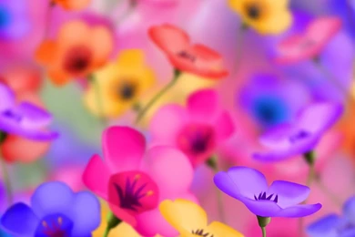 Free Wallpapers Downloads FWG002 – Wallpaperjosh