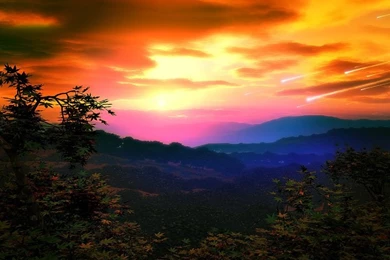 Free Wallpapers 823   HD Wallpapers