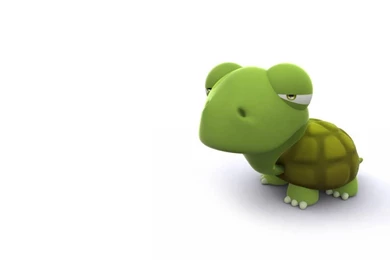 Turtle Hell Yeah Turtles Wallpapers   (